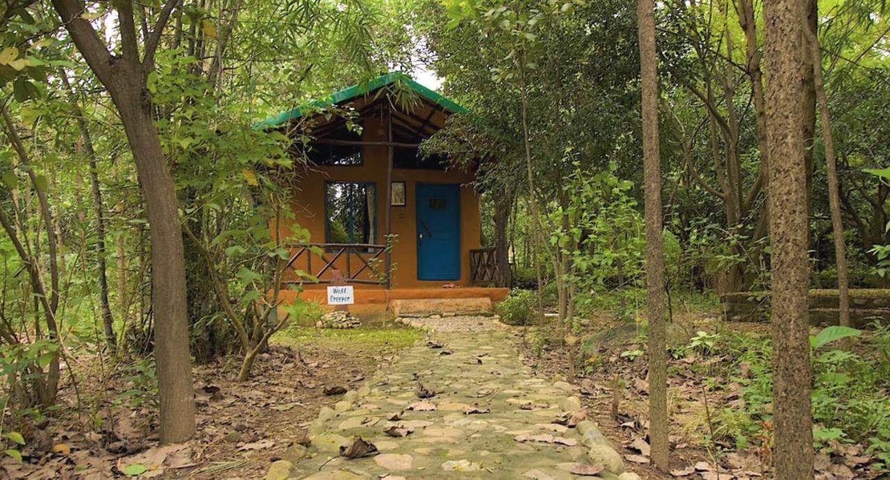 Camp Hornbill Corbett Hotell Rāmnagar Exteriör bild